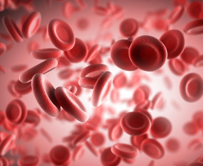 Anemie : qu-est-ce que la thalassemie ?