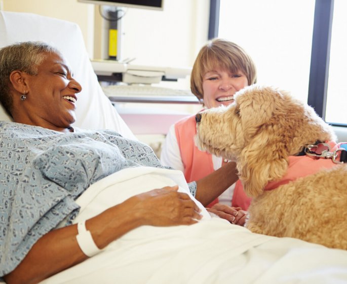 Zootherapie : le chien, un traitement contre Alzheimer