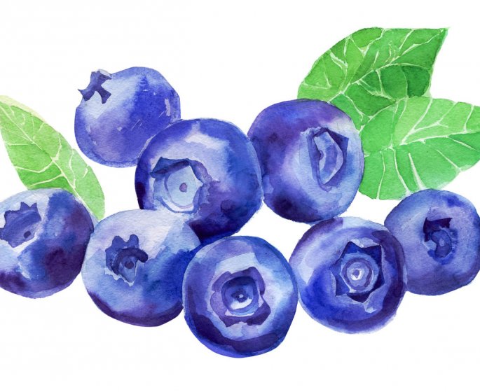 Les aliments anticancer du colon