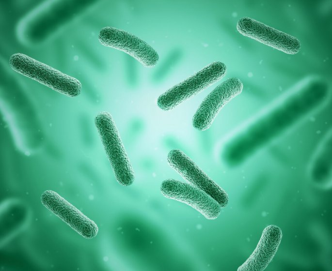 Quelle est cette bacterie "mangeuse de peau" qui fait peur ?