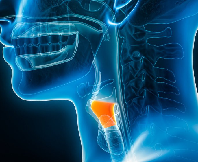 La premiere greffe de larynx realisee en France 