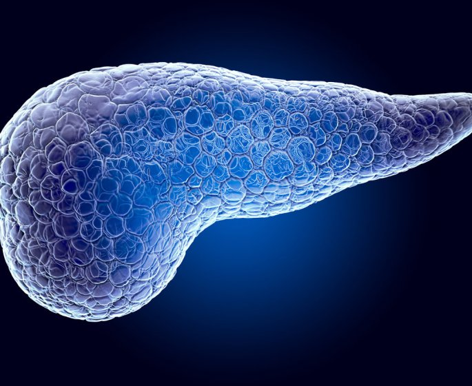 Diabete LADA, MODY, neonatal et de la mucoviscidose : les autres types de diabete