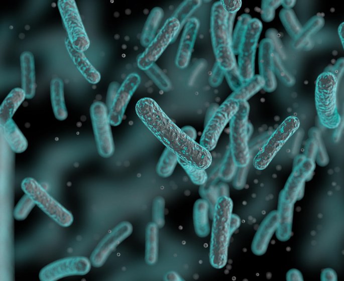 Mycoplasma genitalium : la maladie sexuellement transmissible qui inquiete de plus en plus