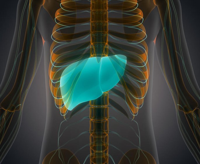 Cancer du foie et hepatite C : le lien