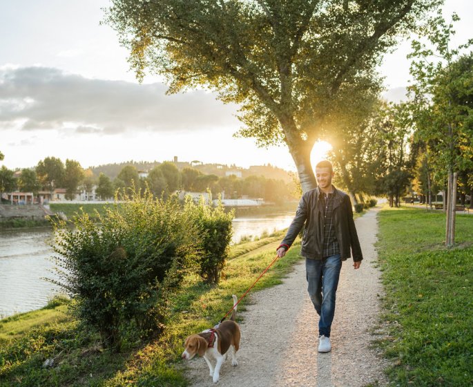 Bien-etre mental : se balader le long d’une riviere ameliore l’humeur 