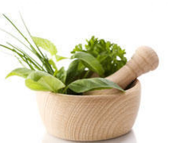 Les plantes anti-cancer