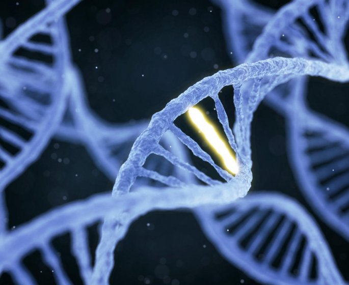 Mucoviscidose : une mutation genetique a l-origine de la maladie
