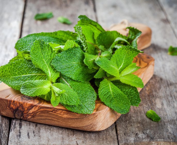 La menthe poivree, un remede contre le rhume
