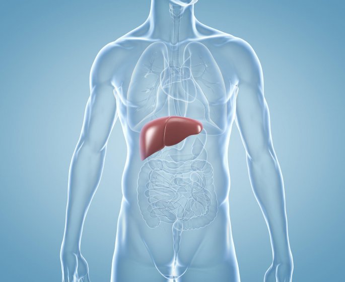 Cancer du foie : symptomes, survie, traitements 