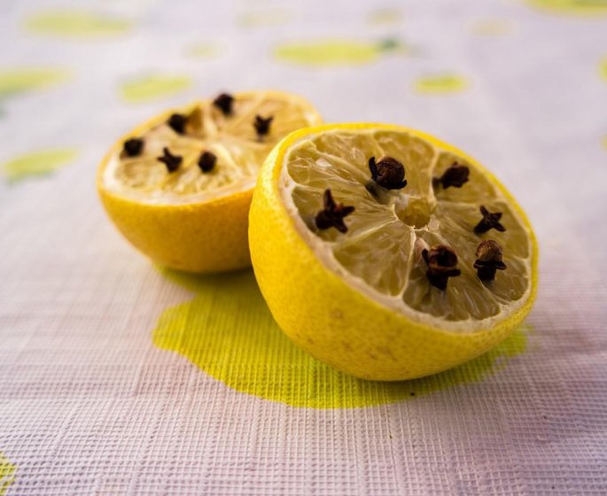 5 astuces naturelles pour debarrasser sa maison des moucherons