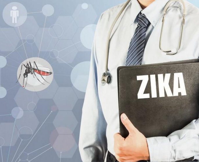 L-origine du virus Zika