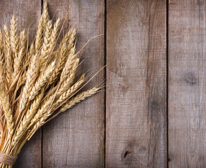 Faut-il se mefier du gluten ?