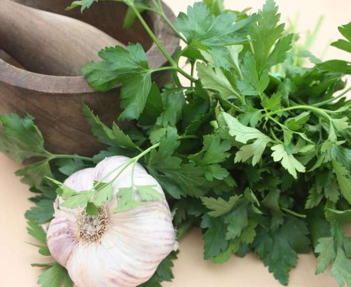 Persil, ail : que sont les herbes aromatiques ?