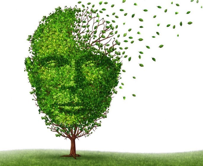 Les 6 maladies qui peuvent faire perdre la memoire