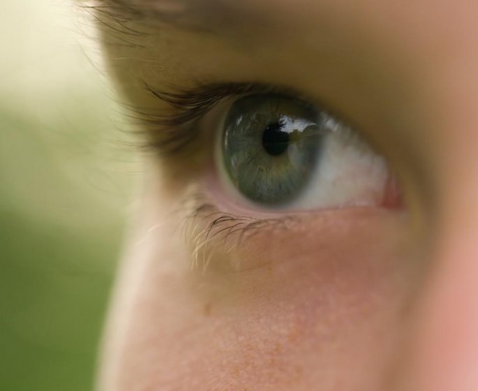 Complements alimentaires pour les yeux : l-euphraise
