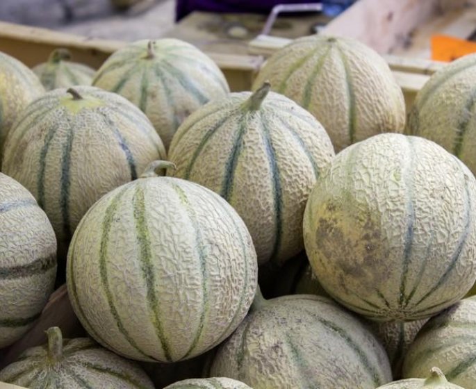 3 personnes meurent apres avoir mange du melon contamine a la listeria en Australie