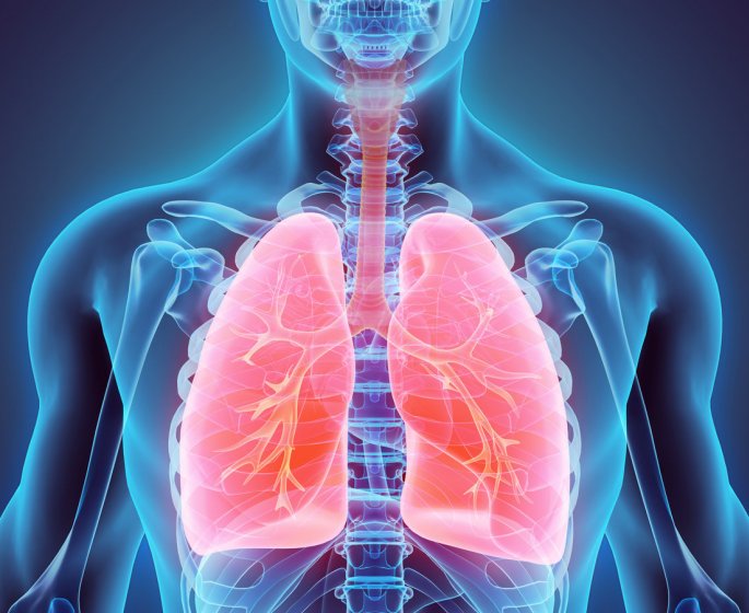 La viande transformee serait associee a un risque de maladie pulmonaire