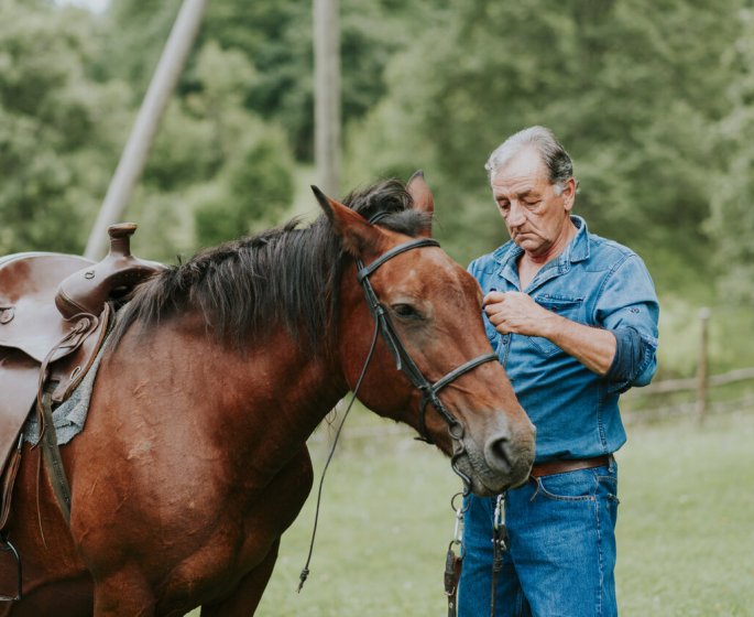 Equitherapie : le cheval et ses bienfaits chez les seniors