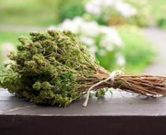 Thym : un remede naturel miracle !