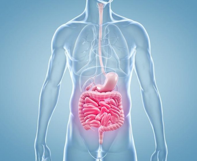Cancer : qu-est-ce que le peritoine ?
