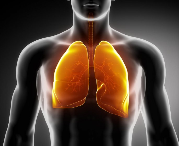 BPCO : definition, symptomes, traitements de la broncho-pneumopathie chronique obstructive