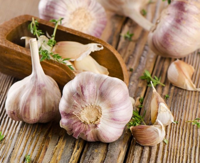 Cancer : 10 plantes a ne pas prendre n’importe comment !