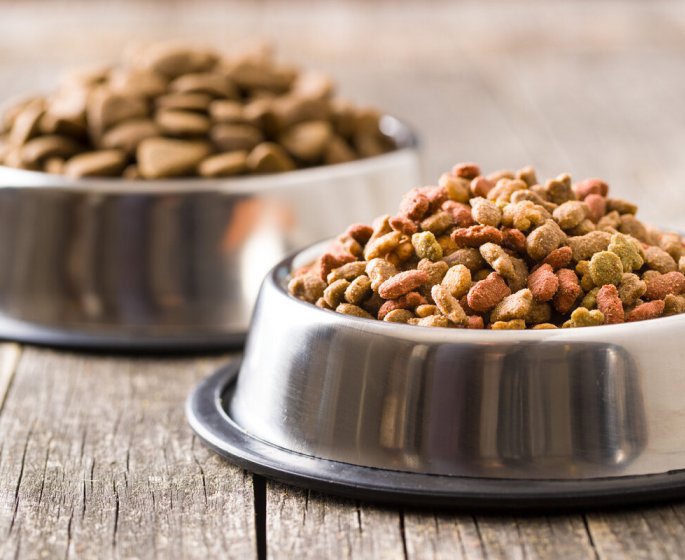 Ces nitrites proscrits dans les croquettes pour chiens mais pas dans la charcuterie