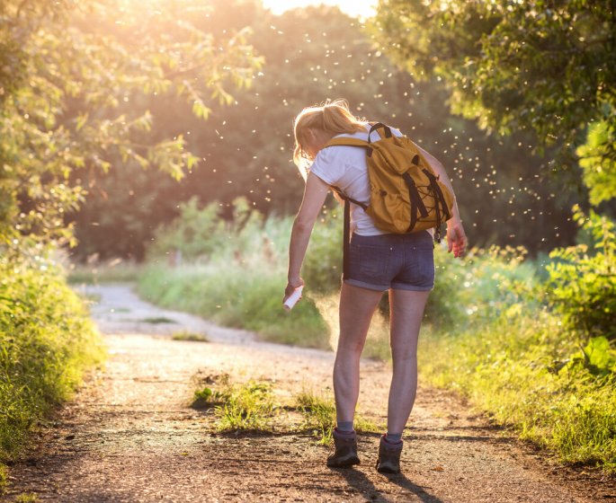 Tiques : les 4 bons reflexes a avoir avant une promenade en foret