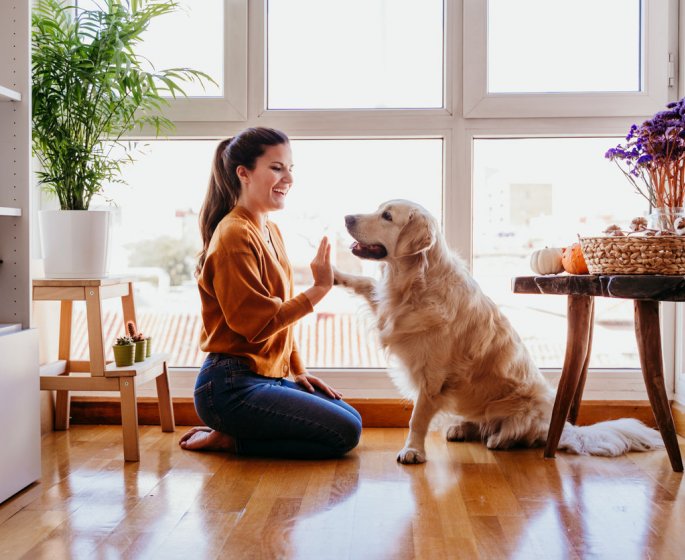 Declin cognitif : avoir un animal de compagnie est bon pour le cerveau 