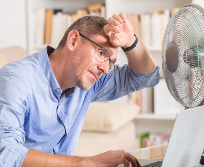 Canicule : tout savoir sur le stress thermique
