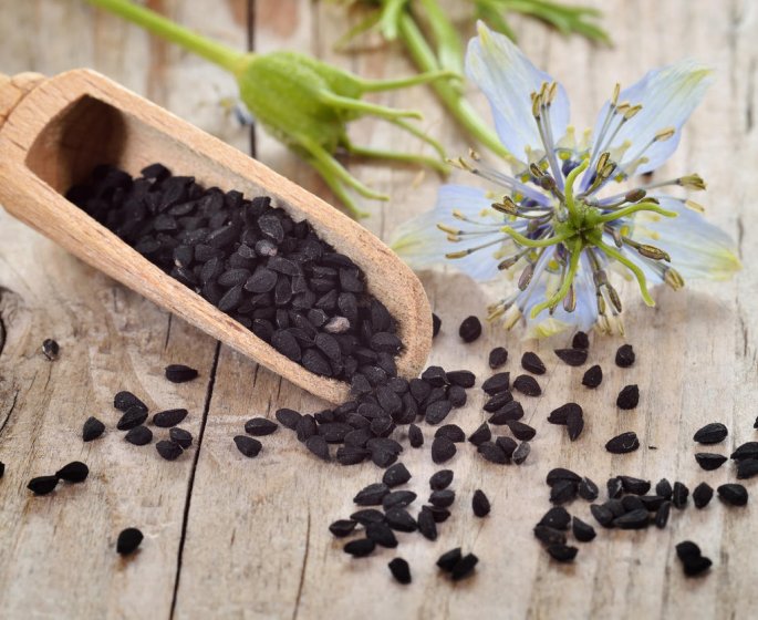 Graines de nigelle : efficaces pour tomber enceinte ?