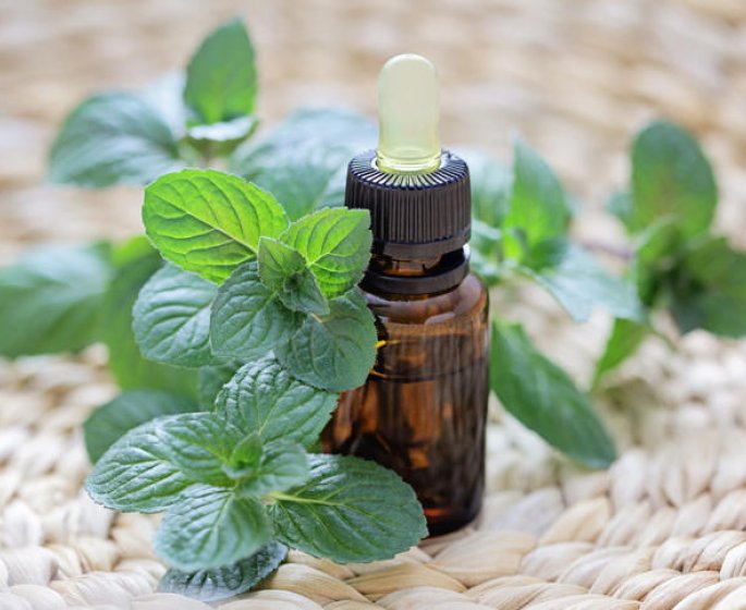 Regles douloureuses : l-huile essentielle de menthe poivree comme remede