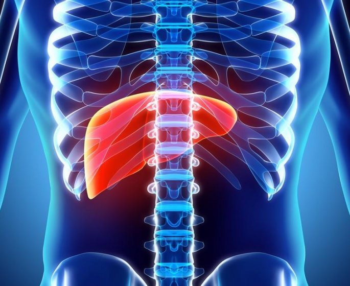 Maladies du foie : le depistage qu’il faut faire