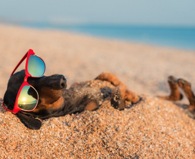 Pour des vacances heureuses, vous n’avez besoin que d’une seule chose