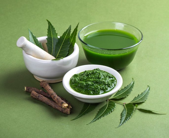Sante intestinale : 10 plantes a connaitre absolument