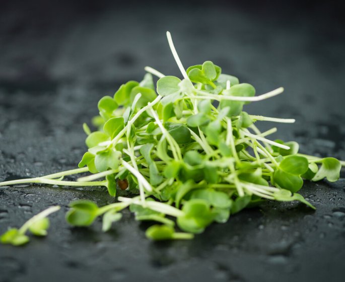 2 recettes pour se regaler avec le cresson, aliment le plus sain au monde