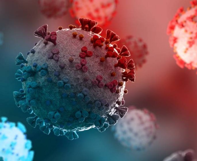 Variant XD : 5 informations a connaitre sur cette mutation du Covid-19