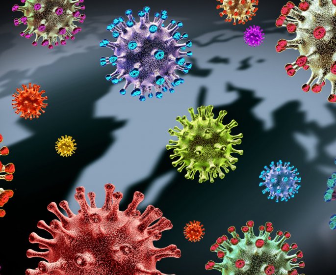 Peste, anthrax, virus : ces fleaux qui nous menacent