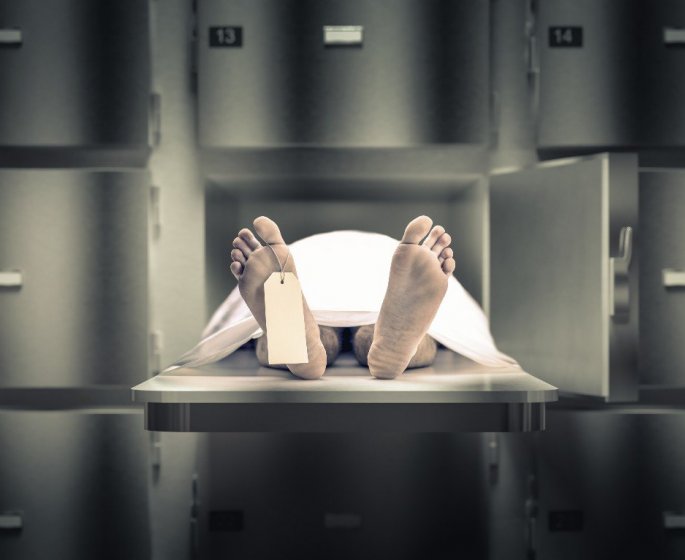 Les 6 etapes de la mort biologique