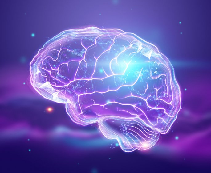 11 astuces pour un cerveau plus puissant