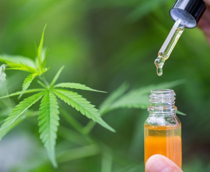 Huile de CBD et huiles essentielles : quels sont leurs bienfaits ?