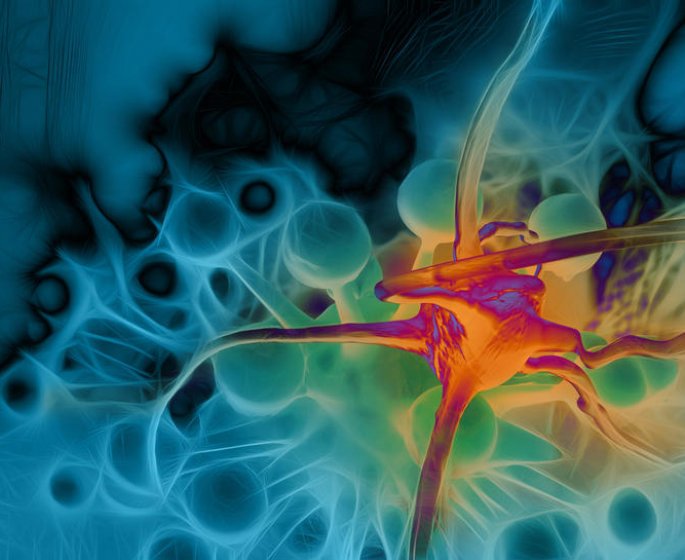 Cancer : une cause de septicemie ?