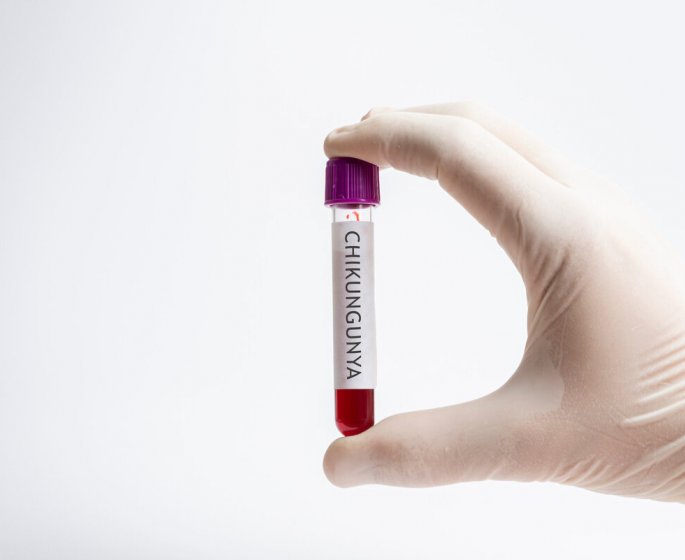 Le premier vaccin contre le chikungunya approuve aux Etats-Unis