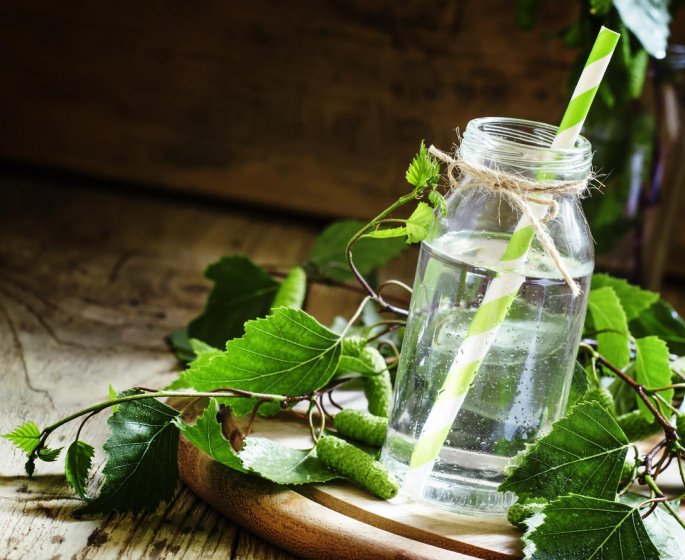Nettoyer son foie : une cure de seve de bouleau
