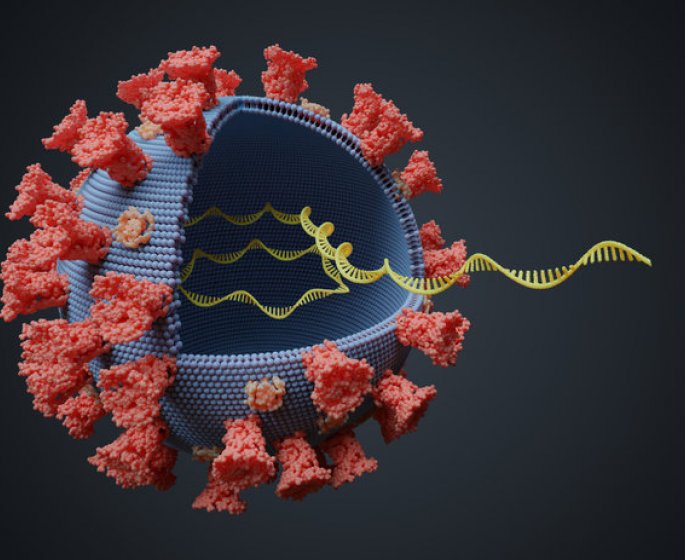 Variant sud-africain : la mutation "la plus inquietante de toutes"