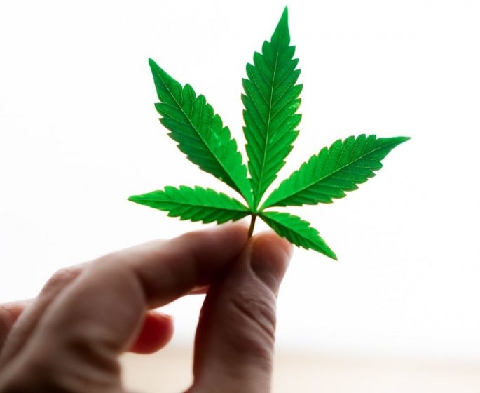 CBD Troubles du sommeil : la solution gagnante