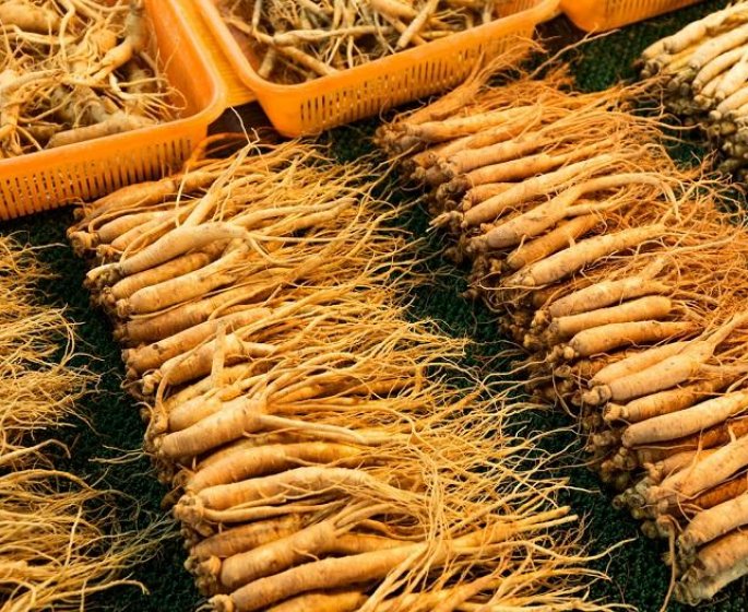  Cancer du poumon : le ginseng rouge efficace contre les metastases ?