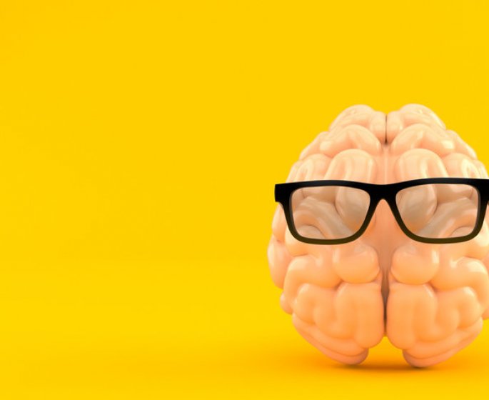 Cerveau : les meilleurs aliments pour vos neurones