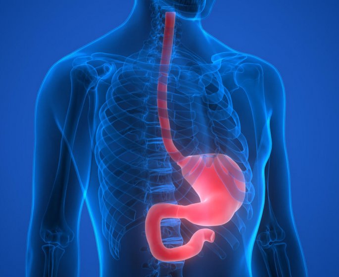 Cancer de l-œsophage : symptomes, causes, duree de vie, traitements 