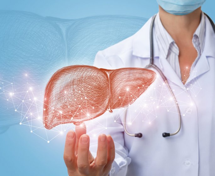 Cancer du foie : cette hormone freine la croissance des tumeurs